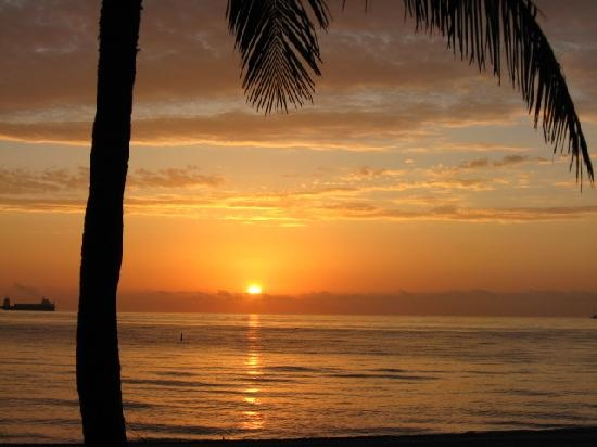 Florida Sunset